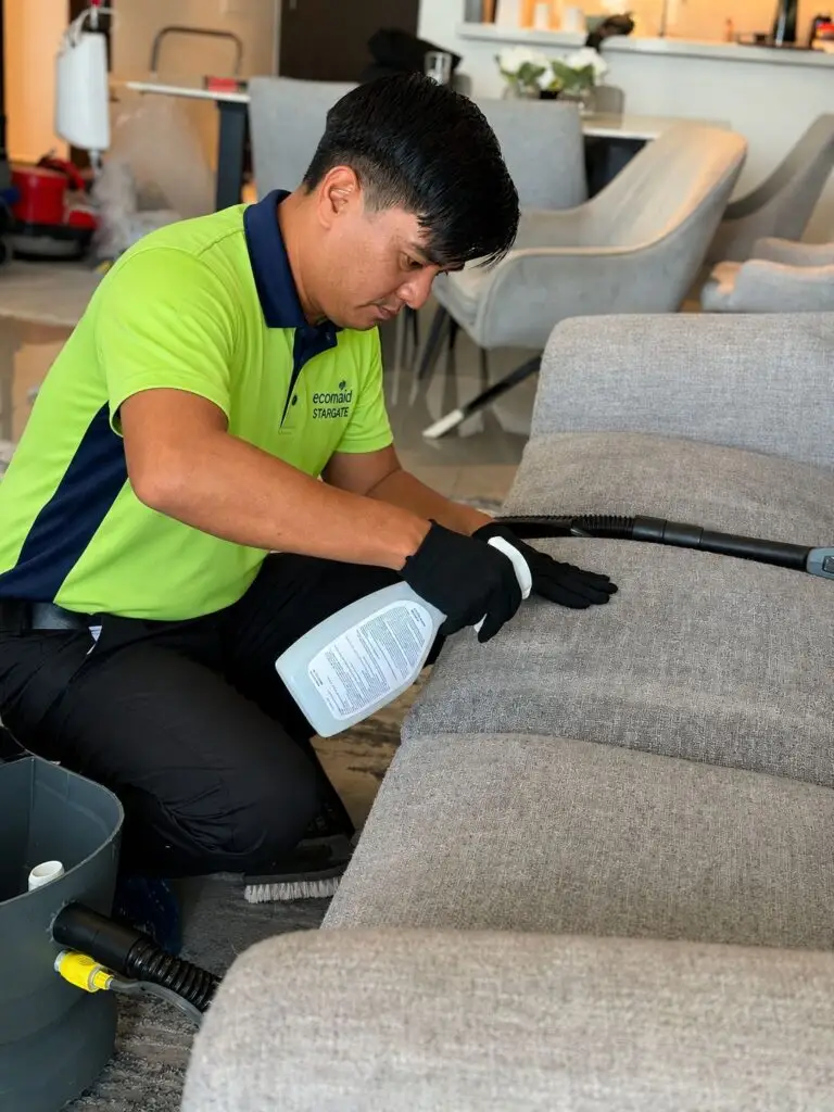 Sofa and Upholstery Cleaning